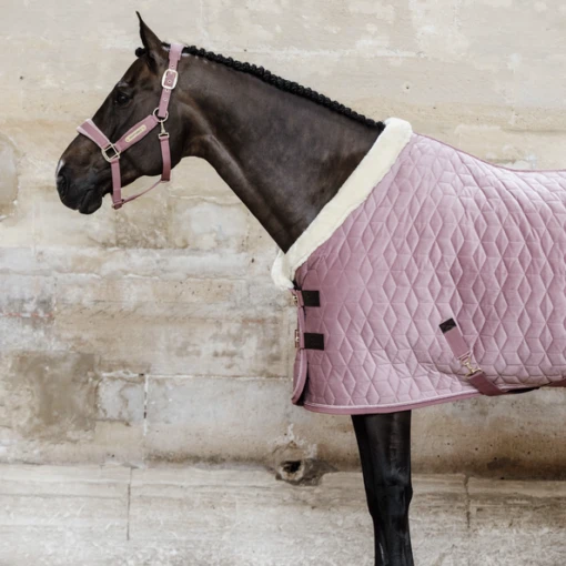 KENTUCKY HORSEWARE - SHOW RUG VELVET 160G -Pet Supply Store 5n1a2402 a929523bbdd099ba1a676b6771a9e673 article photobook m