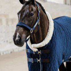 KENTUCKY HORSEWARE - SHOW RUG VELVET 160G -Pet Supply Store 5n1a2571 a929523bbdd099ba1a676b6771a9e673 article photobook m