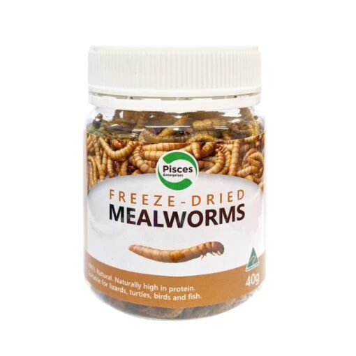 Pisces Freeze Dried Mealworms 40g -Pet Supply Store