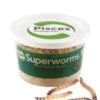 Pisces Live SuperWorms 100g -Pet Supply Store 6ca3882da75d13c43ab416932d809c0f.image .225x271