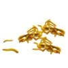 Pisces Mini Mealworms 1000 Pack -Pet Supply Store 6f3fd2b1066af4516a164d0ae3f290c2.image .550x550