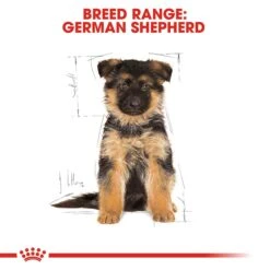 Royal Canin German Shepherd Puppy Dog Food 12kg -Pet Supply Store 76608 German Shepherd 12kg 4