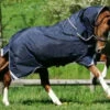 Horseware Ireland Rambo Duo Heavy -Pet Supply Store AAAD93 3