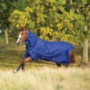 Horseware Ireland Amigo Hero 900 Plus Lite 0g -Pet Supply Store AAMP90 BMWV RGB