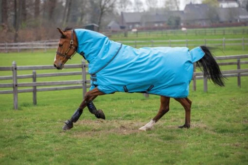 Horseware Ireland Amigo Hero 900 Plus Med 200g -Pet Supply Store AAMP94 CGJBcopy scaled