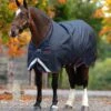 HORSEWARE IRELAND - Amigo Bravo 12 XL LITE 0g -Pet Supply Store AARG11 BBR0