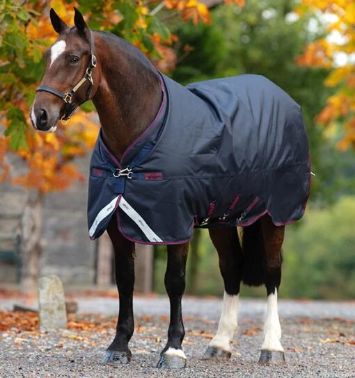 HORSEWARE IRELAND - Amigo Bravo 12 XL LITE 0g -Pet Supply Store AARG11 BBR0