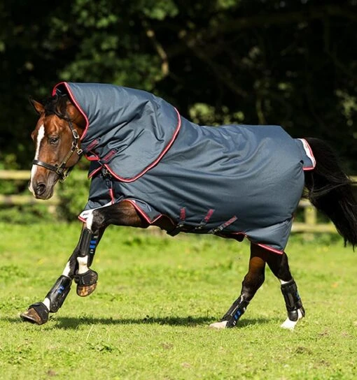 Horseware Ireland Amigo Bravo 12 Plus Medium Turnout -Pet Supply Store AARP72 BRC0 RGB 4