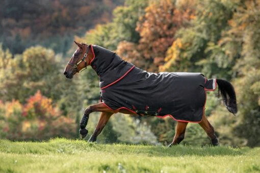 Horseware Ireland Amigo Bravo 12 Plus Heavy - 400g -Pet Supply Store AARP74 KRT0 RGB scaled