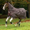 Horseware Ireland Amigo Bravo 12 Plus W/ Front Disk Closure 100g -Pet Supply Store AARPT3 NRTR 527x562 1