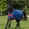 Horseware Ireland Amigo Mio Lite Turnout -Pet Supply Store AASA41 2