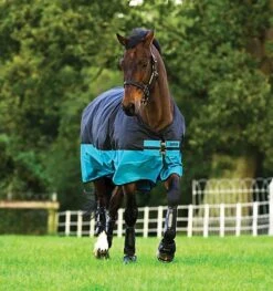 Horseware Ireland Amigo Mio Lite Turnout -Pet Supply Store AASA41 KCTK