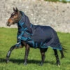 Horseware Ireland Amigo Bravo 12 Plus Turnout Bundle -Pet Supply Store AB12PTB 2