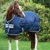 Horseware Ireland Amigo Insulator Pony Medium -Pet Supply Store ABRA22 BI00 RGB