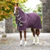 HORSEWARE IRELAND - Amigo Stable Plus-Disc Front 200g -Pet Supply Store ABRDT2 GFBM