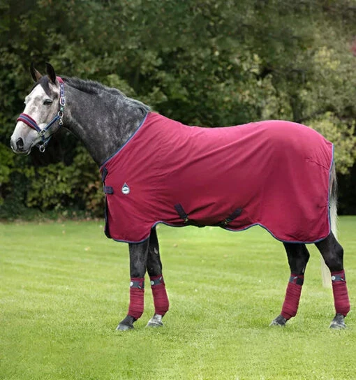 Horseware Ireland Rambo Helix Stable Sheet With Disc Front Closure -Pet Supply Store ADAT6G QQGB Rambo Helix Burgundy