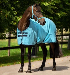 Horseware Ireland Amigo Stable Sheet -Pet Supply Store ADRF22 DBB0