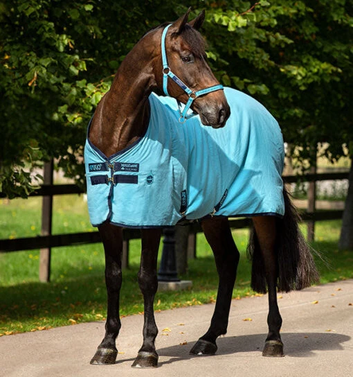 Horseware Ireland Amigo Stable Sheet -Pet Supply Store ADRF22 DBB0