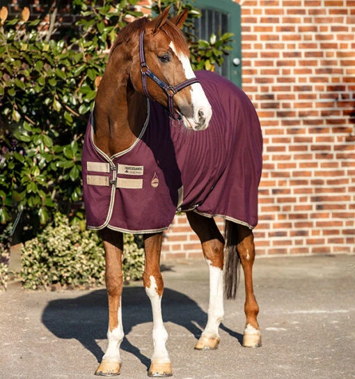 Horseware Ireland Amigo Stable Sheet -Pet Supply Store ADRF22 GFBM DHRH40 GFBM 1