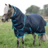 Horseware Ireland HORSEWARE - Amigo Hero 6 Ripstop Petite Plus 200g -Pet Supply Store AKPPJ4 BEB0