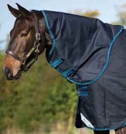 Horseware Ireland Amigo Hood 0G -Pet Supply Store AmigoBravo150navy electricAARN41 BBE0 AARN42 BBE0