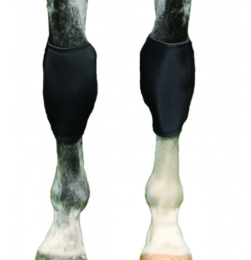 Back On Track Knee Boots (Pair) -Pet Supply Store BOTKNEE 2