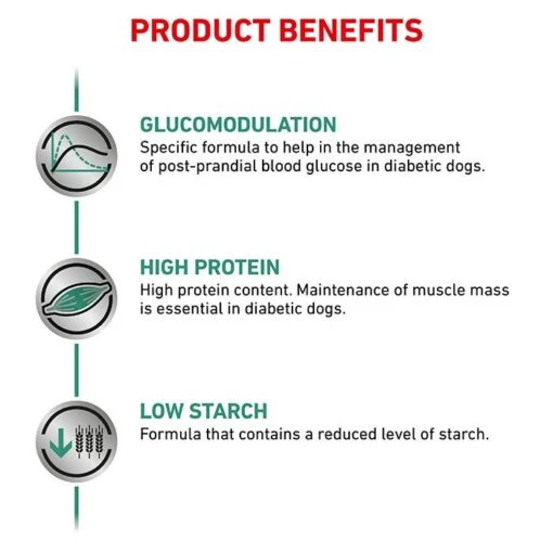 Royal Canin Veterinary Diet Diabetic Adult Dog Food -Pet Supply Store DRY DogDiabetic BrandFlagship B1 Page 5B1 Page 5 1