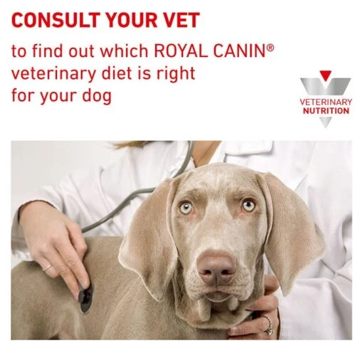 Royal Canin Veterinary Diet Diabetic Adult Dog Food -Pet Supply Store DRY DogDiabetic BrandFlagship B1 Page 9B1 Page 9 1