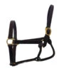 BigM 3/4" Unpadded Leather Halter -Pet Supply Store HAL1112 2