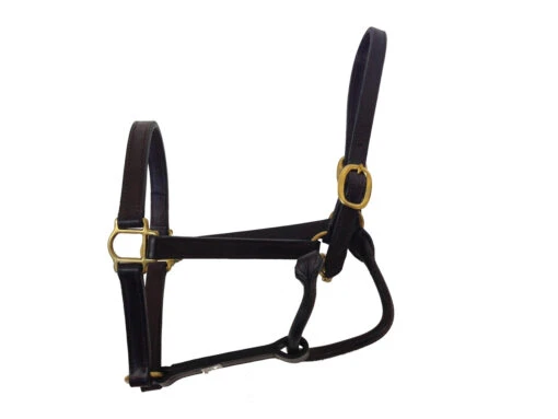 BigM 3/4" Unpadded Leather Halter -Pet Supply Store HAL1112 2