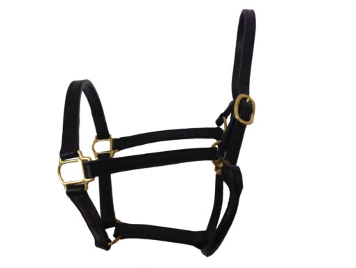 BigM 3/4" Unpadded Leather Halter -Pet Supply Store HAL1112 3