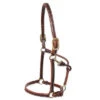 Walsh Leather Sportsman Halter -Pet Supply Store HAL1118 2