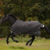 Horseware Ireland Amigo Bravo 12 Turnout Original 100g -Pet Supply Store HWIA12TOMEDLT 2