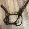 Consignment Leather Halter W/plate -Pet Supply Store IMG 1020