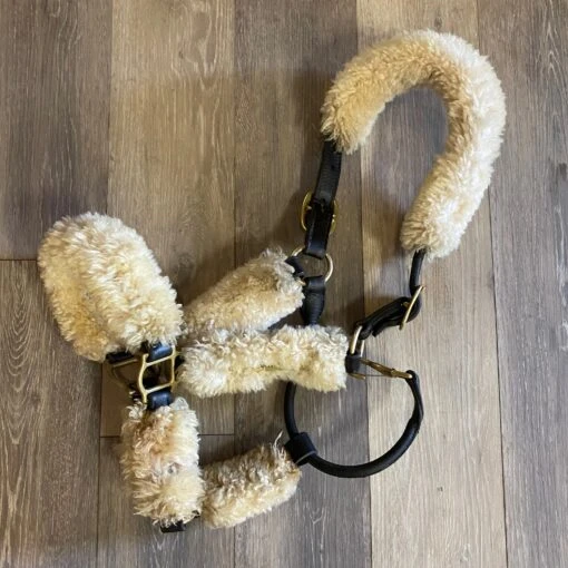 Consignment Shipping Halter W/Sheepskin FULL -Pet Supply Store IMG 7464 scaled