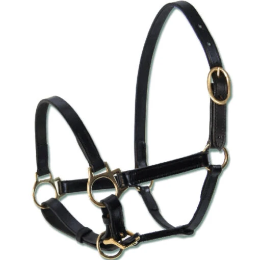 Waldhausen - Leather Foal Halter -Pet Supply Store IMG 8674