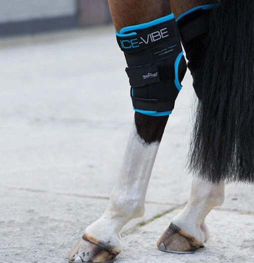 Horseware Ireland Ice-Vibe By Horseware Hock Wrap -Pet Supply Store IVHHW 2