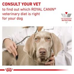 Royal Canin Veterinary Diet Renal Select Dog Food 2kg -Pet Supply Store RC VET DRY DogRenalSel Eretailkit B1 CMC 8 6 21 Page 9