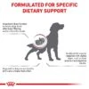 Royal Canin Veterinary Diet Renal Special Adult Dog Food 2kg -Pet Supply Store RC VET DRY DogRenalSpe Eretailkit B1 CMC 8 6 21 Page 2