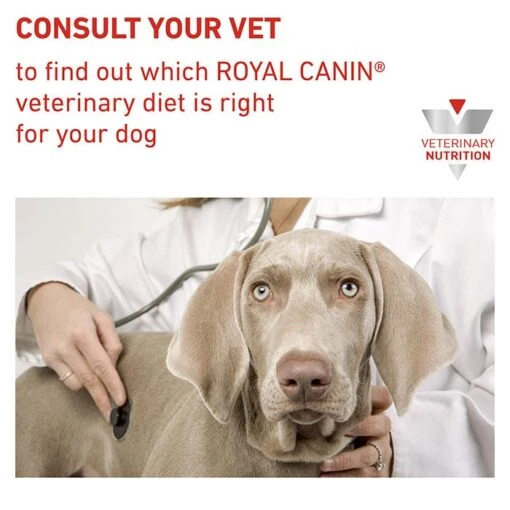 Royal Canin Veterinary Diet Urinary S/O Dog Food 410gx12 -Pet Supply Store RC VET WET DogUrinarySOLOAF400g BrandFlagship B1 Page 7B1 Page 7