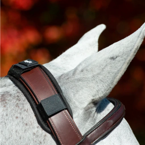 EquiFit ImpacTeq Crown Pad -Pet Supply Store ScreenShot2020 07 05at12.11.59PM