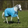 Horseware Ireland Amigo Hero 900 Turnout Lite With Net Lining And Disc-Front Closure -Pet Supply Store ScreenShot2020 11 18at1.04.43PM