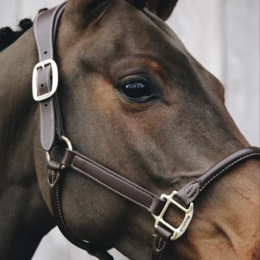 Kentucky Leather Anatomic Halter Neck Piece (Crown) -Pet Supply Store ScreenShot2021 01 30at11.06.39AM