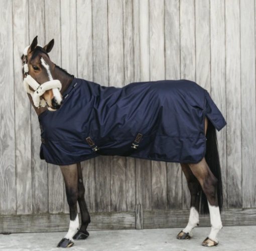 Kentucky All Weather Waterproof Pro Turnout Rug 0G -Pet Supply Store ScreenShot2021 10 06at4.13.19PM