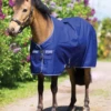 Horseware Ireland Amigo Hero 900 Pony Turnout (0g Lite) -Pet Supply Store ScreenShot2021 11 04at5.29.54PM