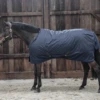 Kentucky Hurricane Turnout Rug All Weather 0g -Pet Supply Store ScreenShot2022 03 16at3.45.24PM