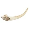 Watch & Grow Deer Antler Dog Treat Large -Pet Supply Store WAG large 510696 1