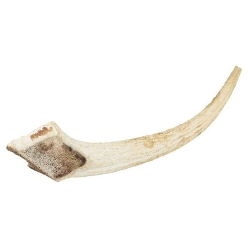 Watch & Grow Deer Antler Dog Treat Large -Pet Supply Store WAG large 510696 1