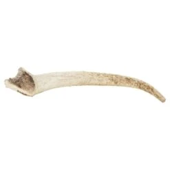 Watch & Grow Deer Antler Dog Treat Large -Pet Supply Store WAG large 510696 3