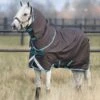 HORSEWARE IRELAND - Amigo Bravo 12 Pony Plus Lite -Pet Supply Store akrp71 jde0 amigo bravo 12 pony plus turnout lite 0g excalibur grey